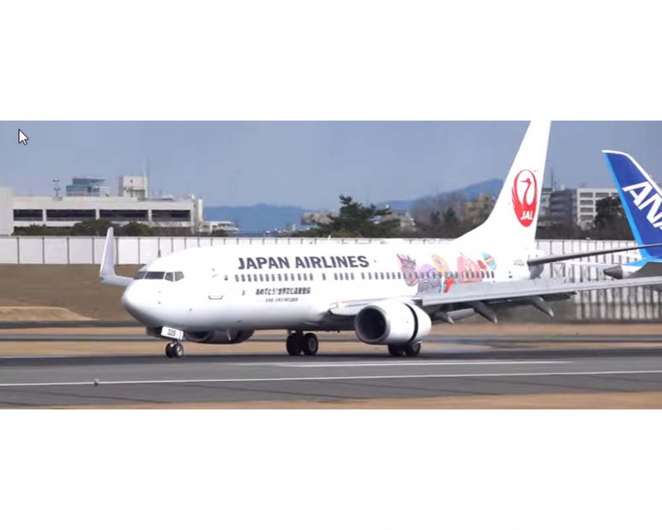 www.JetCollector.com: JAL B737-800 
