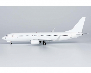 Blank B737-800 1:200 Scale NG08000
