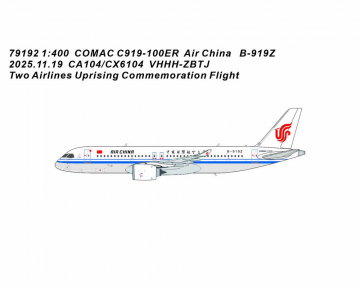 Air China C919 B-919Z 1:400 Scale Panda Models PM79192