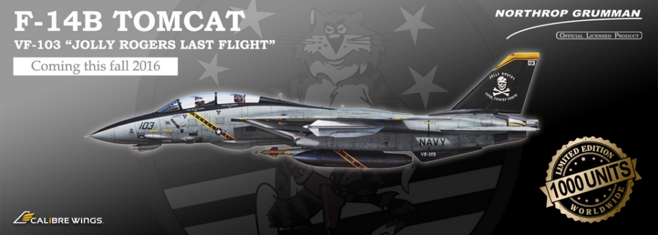 www.JetCollector.com: Grumman F-14B USN VF-103 Jolly Rogers, AA103