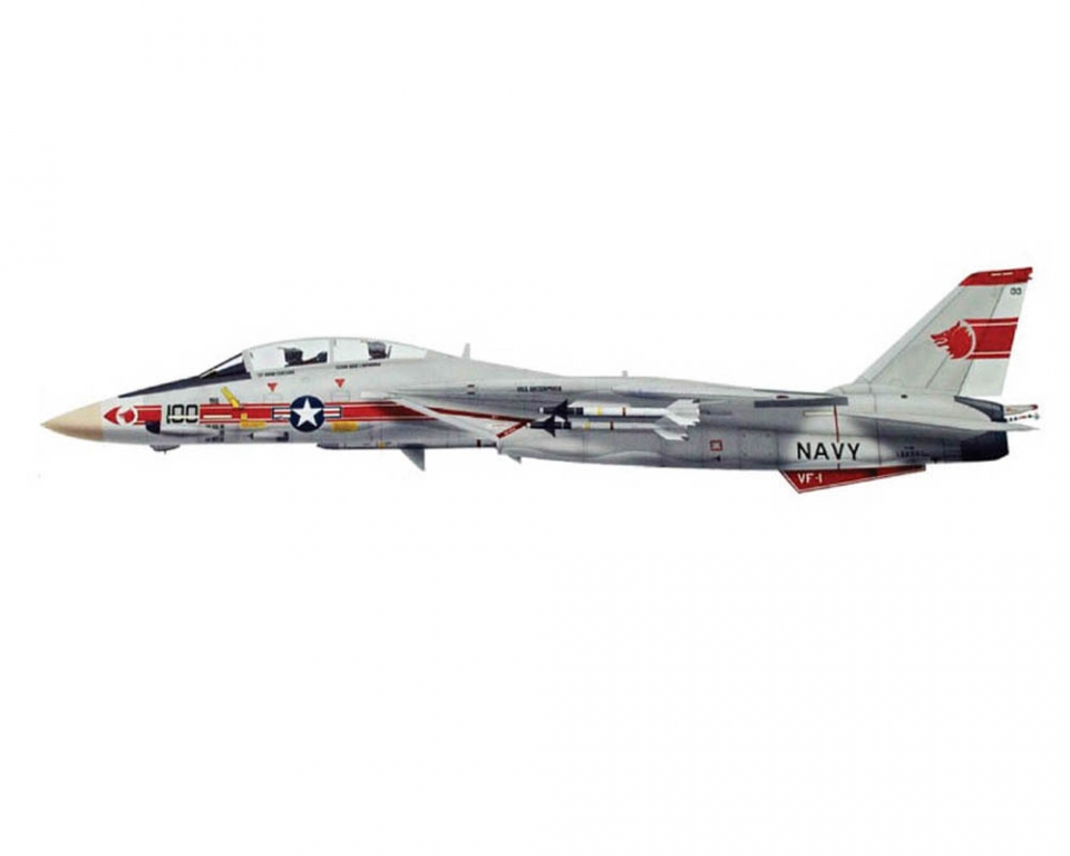 www.JetCollector.com: Grumman F-14A USN VF-1 Wolfpack, NK100,1:72